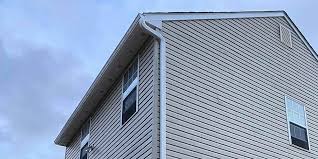 Best Vinyl Siding Installation  in Carver, MN